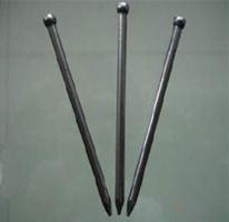Common Wire Nail